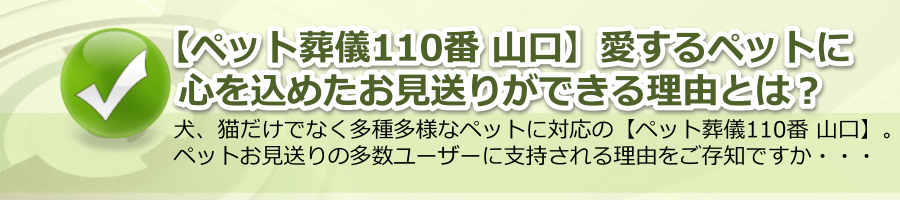 【ペット葬儀110番 山口】愛するペットに心を込めたお見送りができる理由とは？